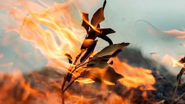 Learning to cope with the gradual onset of climate change