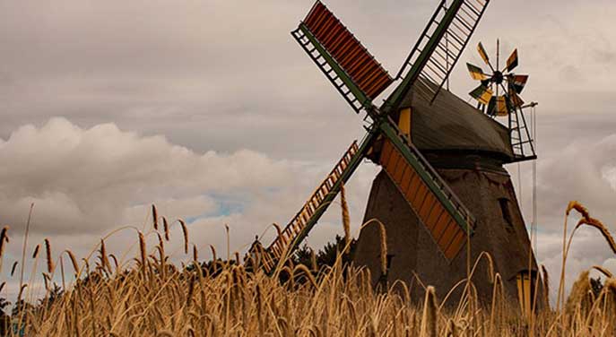 Green enviro-dreams based on fantasy, not science