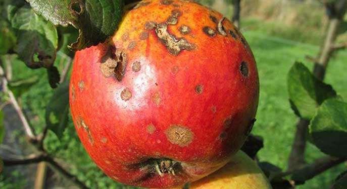 Machinations of mandarins greatest threat to government action