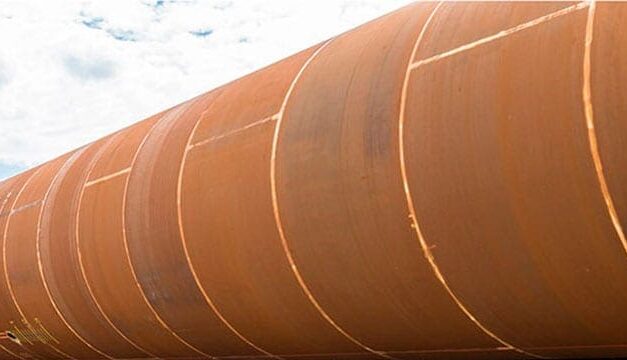 Alberta can forget becoming the 51st American state