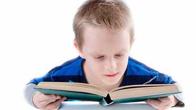 Classic literature is being replaced by smut in our schools