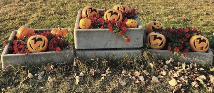 Forecast: Fall with a chance of Halloween