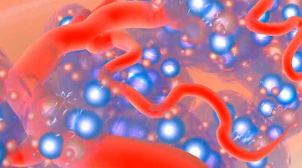 Could a pill cure diabetes?