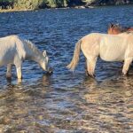 Exploring Scottsdale, Arizona’s hidden gems