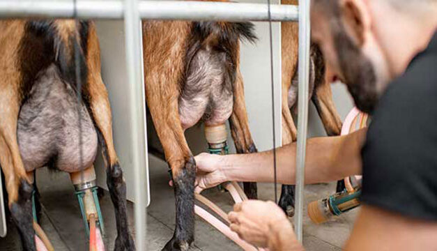 It’s time to end supply management