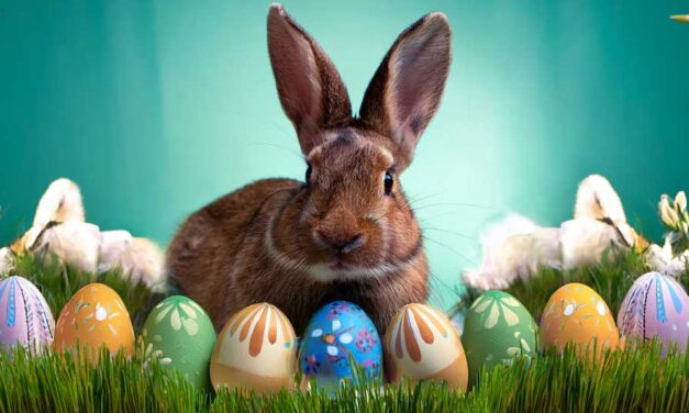 Following the trail of the Easter bunny’s origins