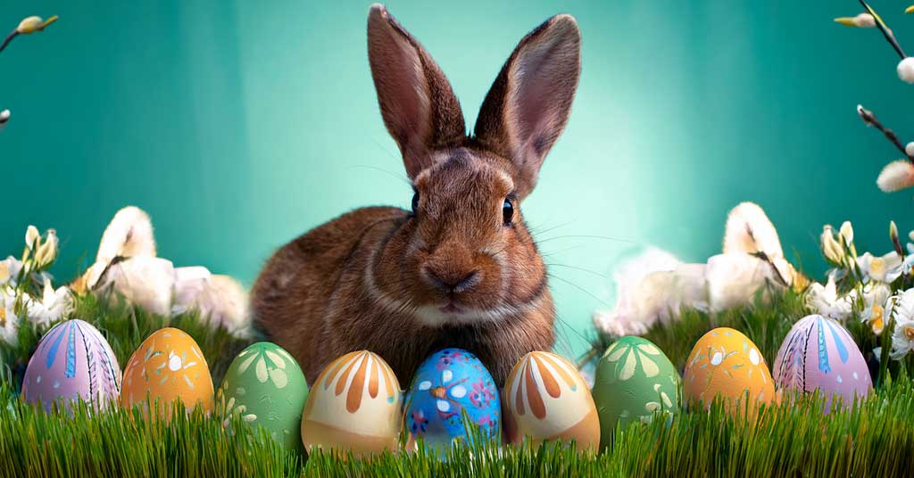 Following the trail of the Easter bunny’s origins