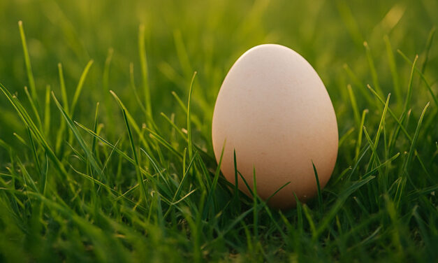 Easter reminds us to slow down and be still