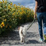 Anxiety is crippling us and real connection is the only cure