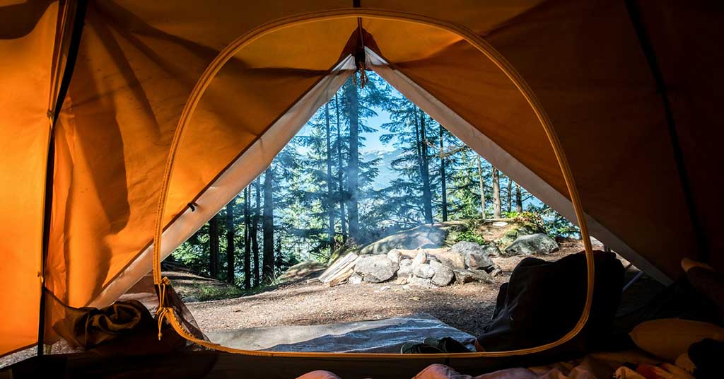 Nova Scotia’s forest access ban goes too far